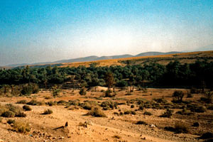 19-11-98 - On the way to Tafraoute - oasis in the desert
