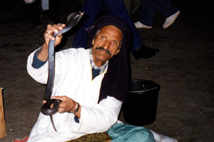 21.11.1998 - Djemaa el Fna am Abend in Marrakech: Schlangenbändiger in Marrakech