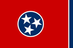 Flags south USA