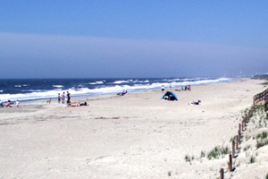 15-04-06 - Dune in North Carolina close to South Carolina