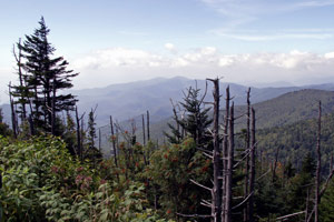 16-09-06 - Great Smoky Mountain State Park - close to Clingman's Dome
