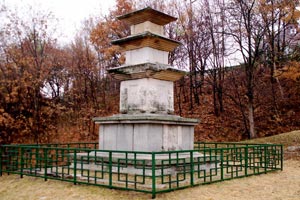 29-11-09 - Legacy shrine at place Gawolsaji