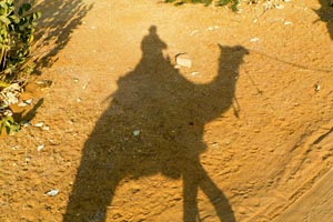 24.12.2011 - Camel Safari - Schatten meines Dromedars samt mir