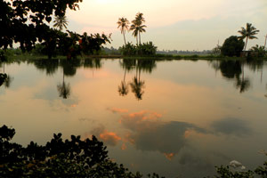 04.01.2012 - Sonnenuntergang in den Backwaters bei Alleppey