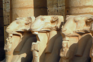 15-02-13 - Gallery of aries in front of Karnak Temple