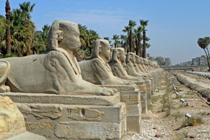 15.02.2013 - Sphinx Allee vom Ramses II Tempel in Luxor bis fast zum Karnak Tempel