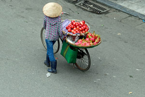 16-02-15 - Fruits transport