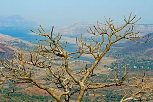 12.03.2016 - Blick vom Elephants Head Point auf den Dhom Lake (Old Mahabaleshwar)