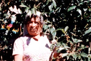 08.01.1996 - Frau bei der Kaffeeernte 