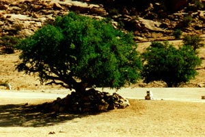 19.11.1998 - Tafraoute mit beeindruckenden Panoramen