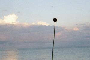 26.05.2003 - Marina di Caulonia