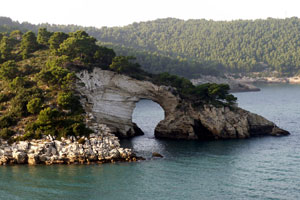 27.10.2006 - Felsenformation in der Nähe Vieste