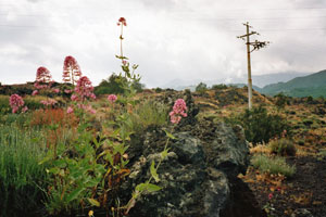 13.06.2004 - Auffahrt zum Ätna (Etna), die Spuren eines Ausbruchs von vor 20 Jahren sind immer noch deutlich sichtbar