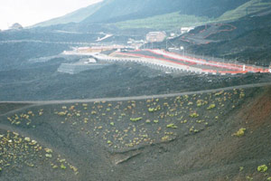 13.06.2004 - Ätna (Etna) - Am erloschenen Krater Monte Silvestri