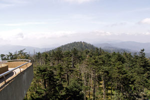 16.09.2006 - Great Smoky Mountain State Park - Blick vom Clingsman's Dome auf das Waldsterben des Great Smoky