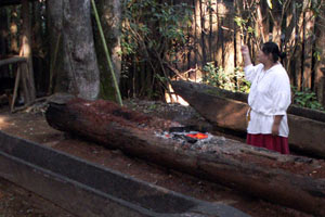 16.09.2006 - Kanubau mittels Feuer im Cherokee Reservat im Dorf Oconaluftee