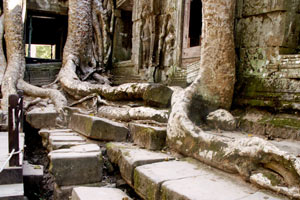 18.12.2009 - Ta Prohm Tempel