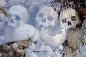 18.12.2009 - Killing Fields Mahnmal