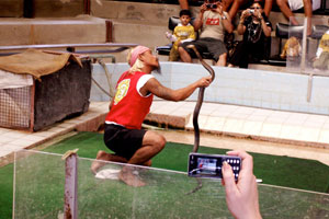 13.12.2009 - Schlangenbändiger und der Kuß der Kobra