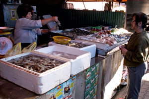 28.12.2009 - Kochkurs im Eagle House No. 2 - einkaufen