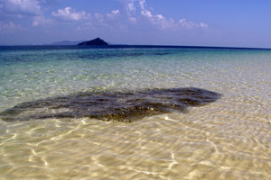 12.01.2010 - Fischschwarm im Wasser