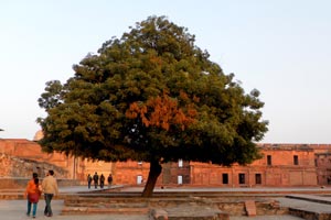 17.12.2011 - Agra Fort