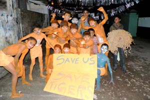 01.01.2012 - Die jungen Tiger sind hier