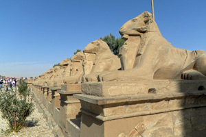 15-02-13 - Gallery of aries in front of Karnak Temple