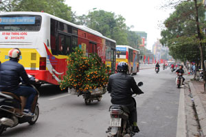 15.02.2015 - Quirliges Straßenleben, geprägt von Mopeds und Motorroller