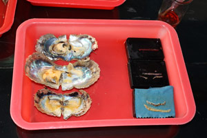 18.02.2015 - Rechts ist die Farbe, die der Auster mit eingeführt wird...