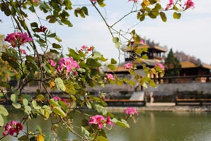 20.02.2015 - Die Verbotene Stadt in Hue im Glanz des Tet-Fests