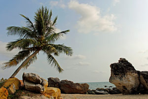 03.03.2015 - Idylle am Strand