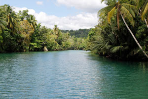 08.01.2016 - Loboc River Floating Restaurant Tour