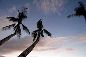 10.01.2016 - White Beach - ein Traum