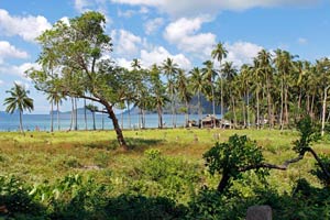 16.01.2016 - Marimegmeg Strand