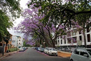 23.11.2016 - Kurzer Besuch der Stadt