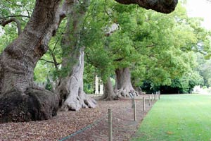 23.11.2016 - Kurzer Besuch der Stadt