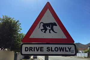 26.11.2016 - Interessante Verkehrsschilder