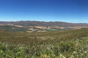 27.11.2016 - Tolle Sicht