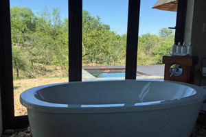 28.11.2016 - Elephant Lodge