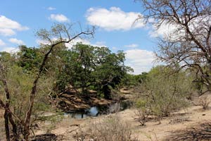 30.11.2016 - Wasserloch