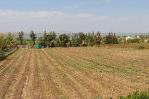 20.02.2016 - Besuch Sula Vineyards bei Nashik - Panoramablick vom Hotelzimmer auf den See
