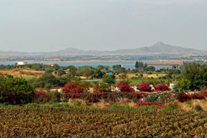 20.02.2016 - Besuch Sula Vineyards bei Nashi