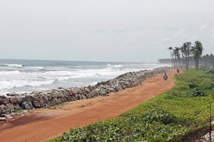 31.07.2016 - Backwaters bei Kappil