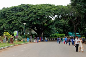 25.09.2016 - Lalbagh Garden