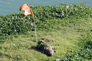 19.03.2017 - Krokodile im Powai-See (echt!)