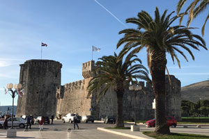 01.01.2019 - Promenade mit Palmen