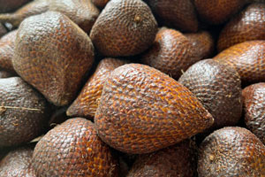 23.12.2025 - Schlangenhautfrucht oder Salakpalme